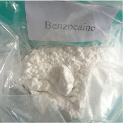 Benzocaïne fournisseurs