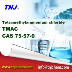 Chlorure de tétraméthylammonium Chine TMAC
